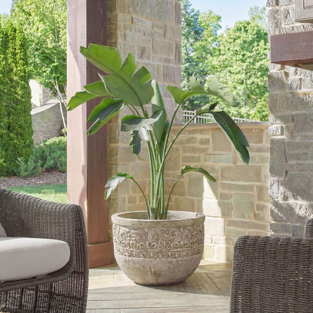 Samuel Weathered Stone Indoor-Outdoor Planter - Image 5