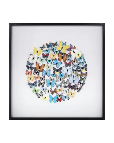 Framed Paper Butterflies in Shadow Box