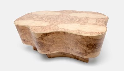 A modern, abstract coffee table with a burlwood top and faux raffia gold trim, showcasing natural variations in color and texture.