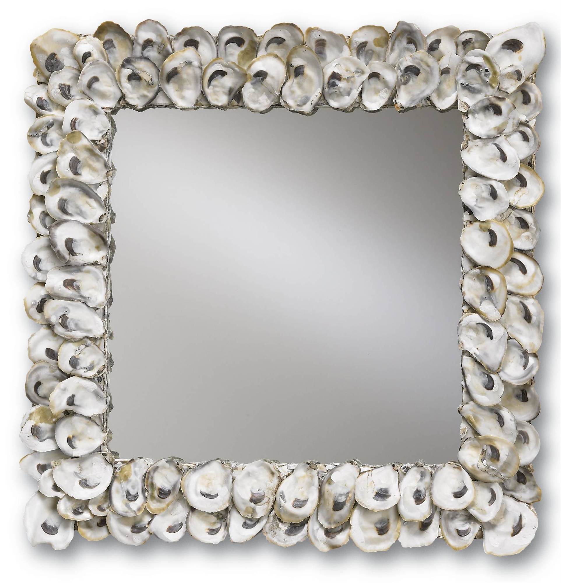 Square mirror with oyster shells as frame featuring a single large oyster shell in the center and smaller ones around it set