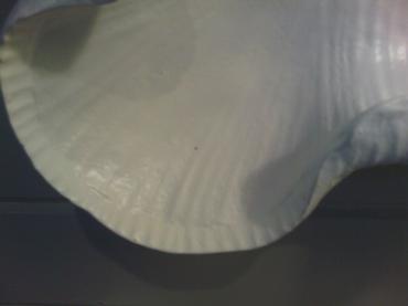 This is a close-up image of an antiqued white resin wave mirror with a beveled edge, showcasing its intricate texture and design.
