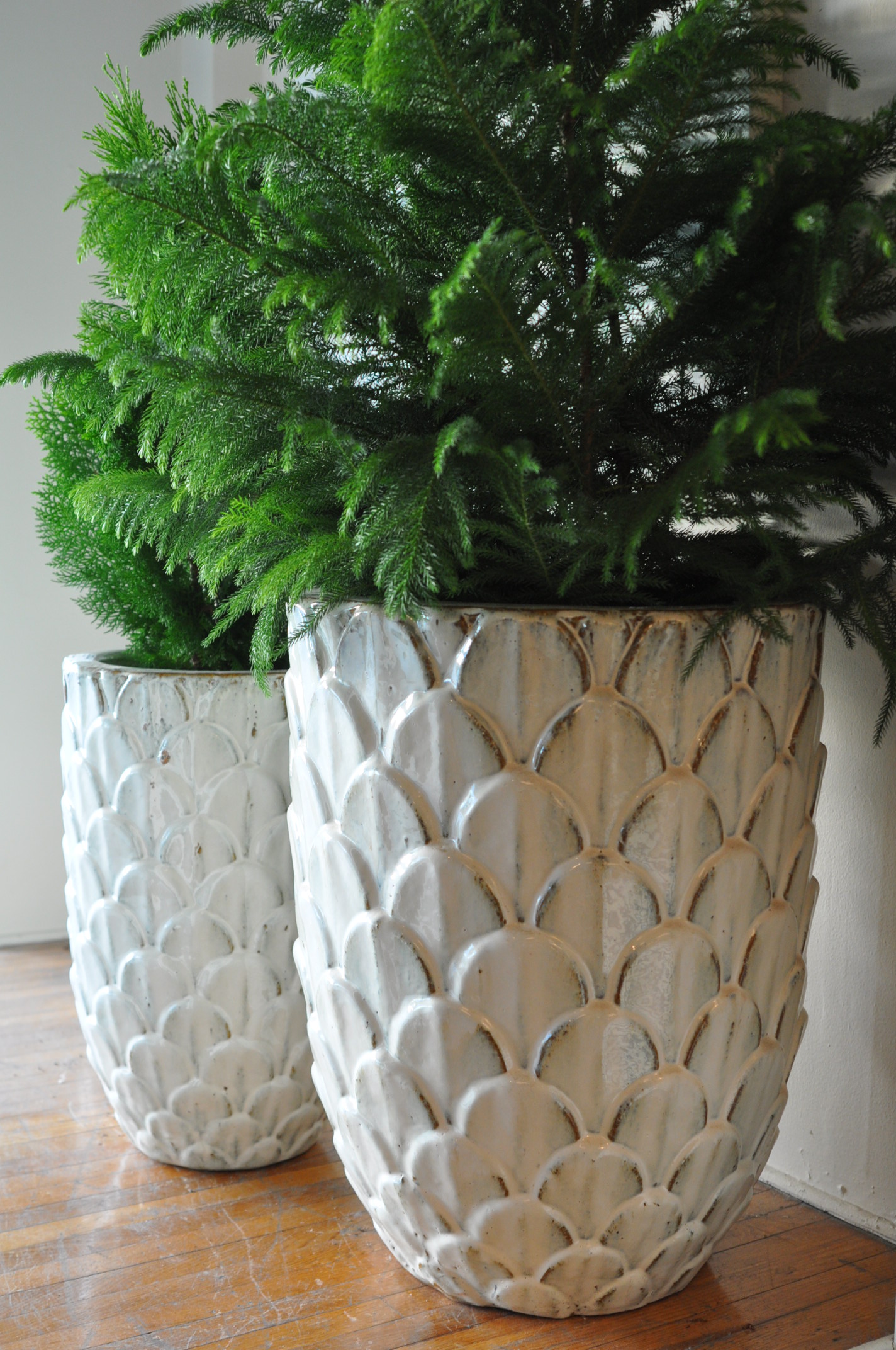 Two large white planters with a pine cone design, each containing a green plant.